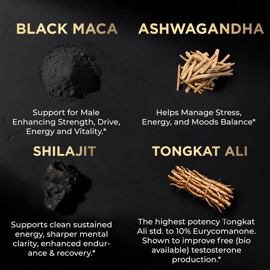 ULTRA MALE® Premium Testosterone Booster for Men w. 100:1 Shilajit, 40:1 Black Maca, Ashwagandha 25%, Tongkat Ali 10%