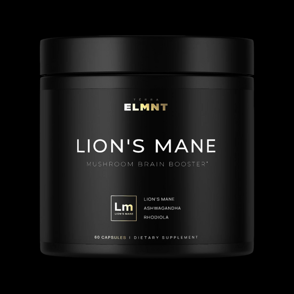 TERRA ELMNT Lion’s Mane Nootropic