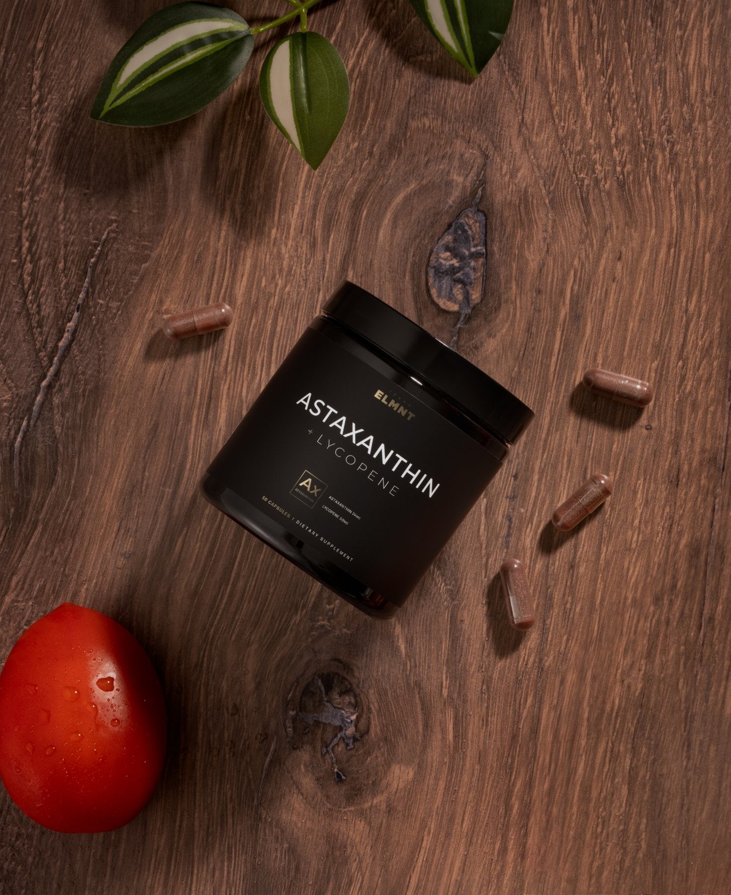A TERRA ELMNT supplement beside its whole-food ingredients